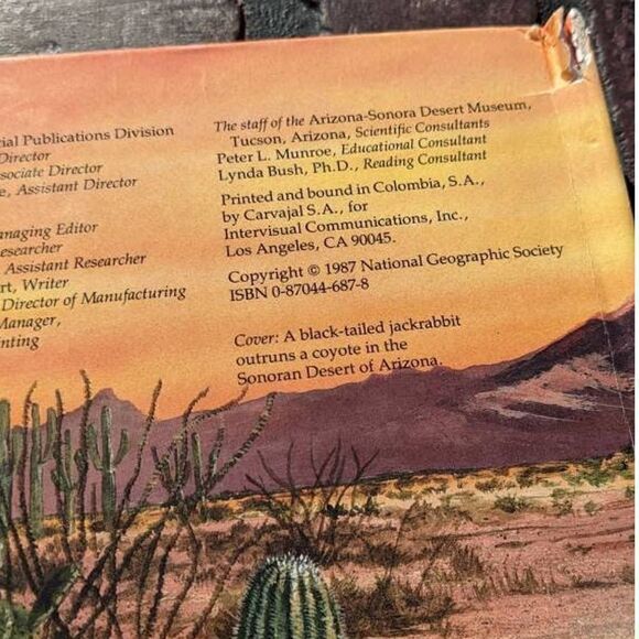 Creatures Of The Desert World National Geographic Pop Up Book Vintage 1987 - Picture 4 of 4